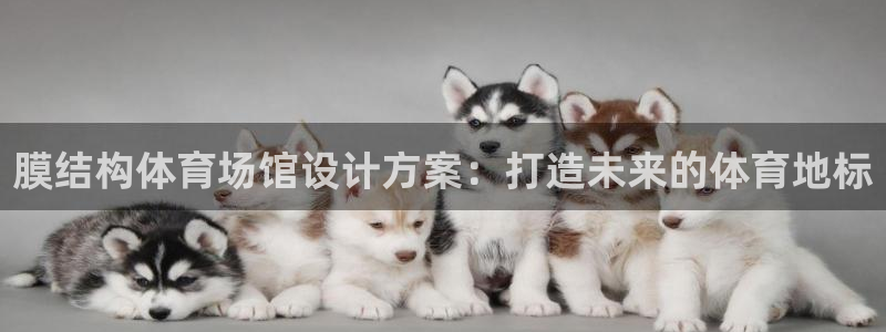尊龙人生就是博AG