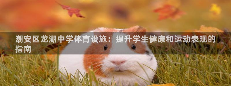 z6尊龙凯时集团