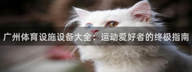 尊龙现金