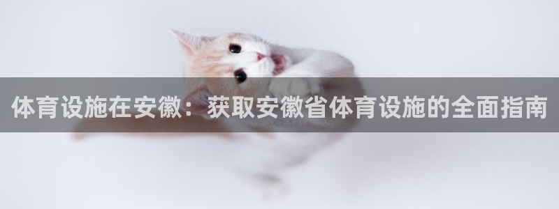 凯时尊龙平台登录
