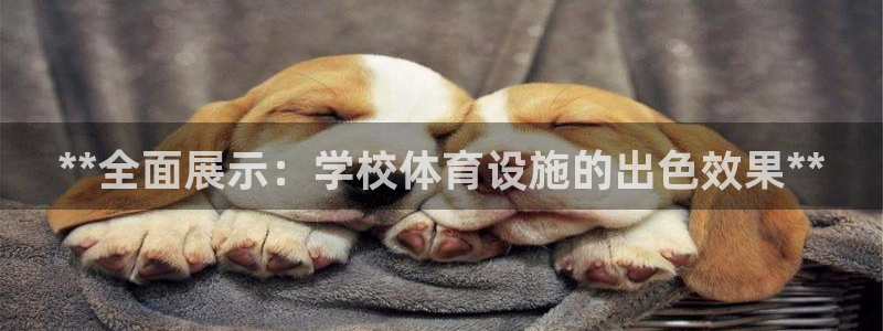 尊龙凯时人生就是搏 品牌专区