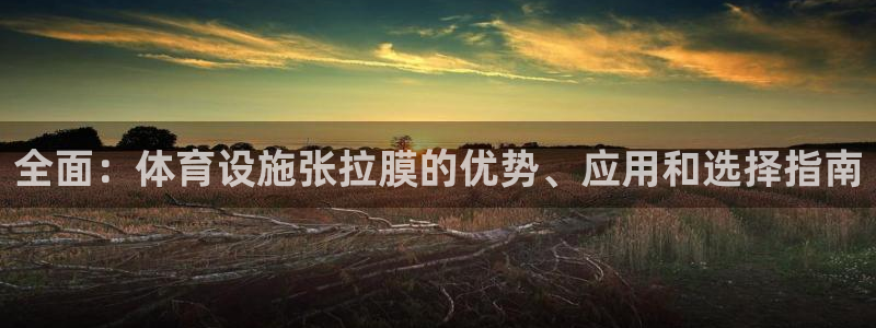 尊龙凯时这个平台怎么样