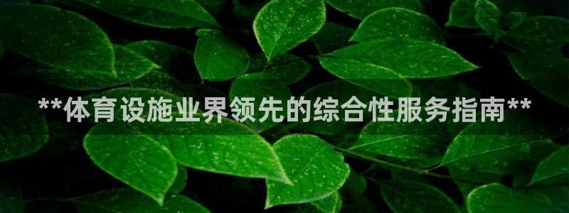 尊龙最新版