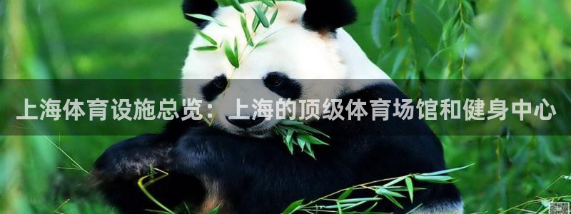 尊龙凯时登陆网址