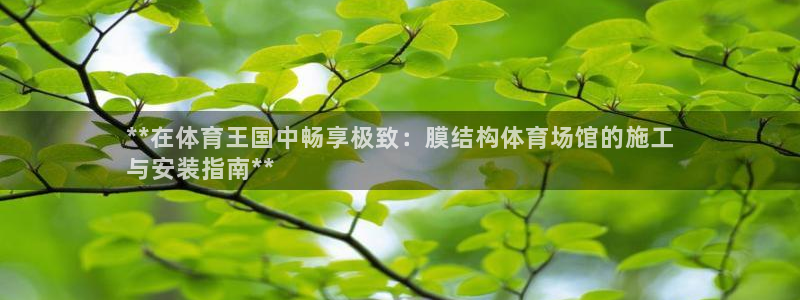 凯时kb88官网网址