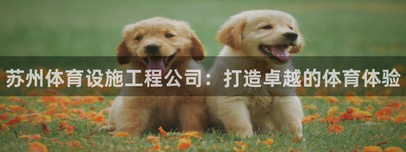 尊龙体育游戏平台