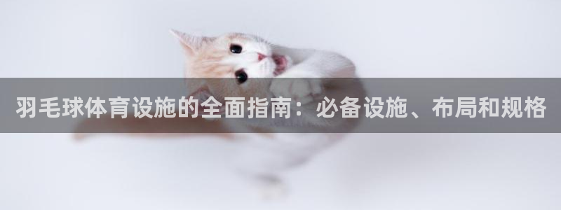 尊龙游戏app官方网站