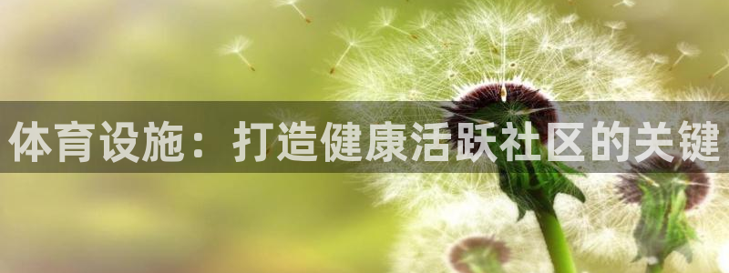 旧版尊龙人生就是博下载