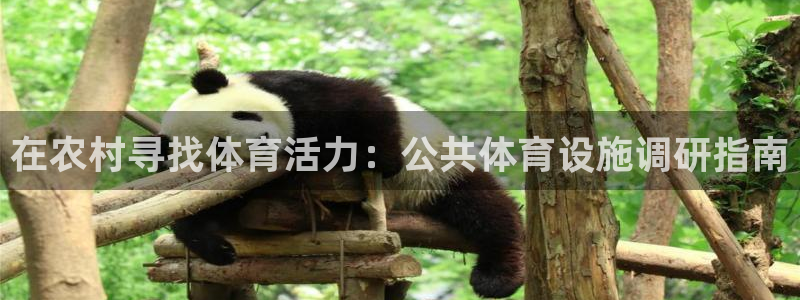 尊龙凯时代理