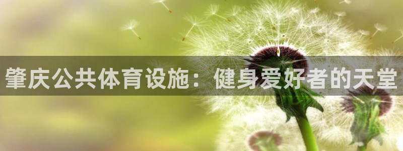 尊龙 10