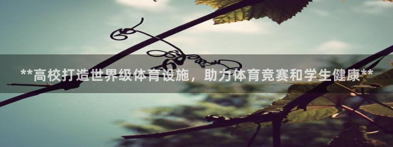 尊龙人生就是-首页(中国)有限公司