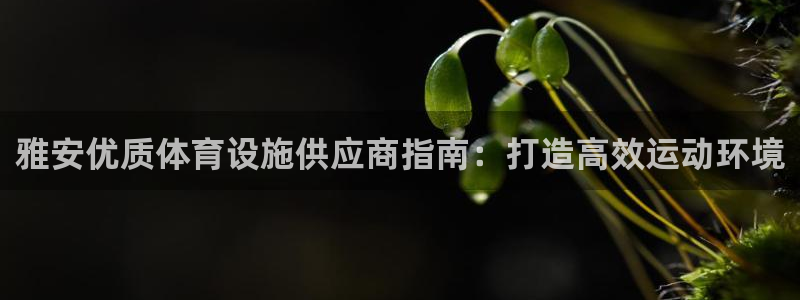 尊龙凯时z6官网