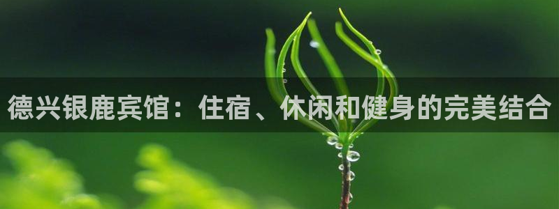 尊龙AG旗舰厅APP