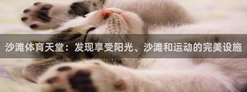 尊龙凯时提款一直审核中