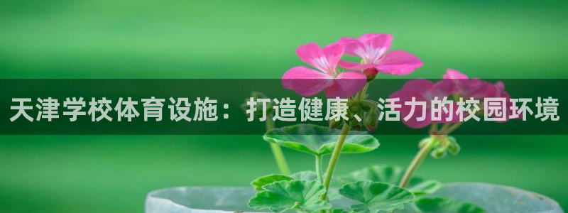 尊龙凯时有限公司