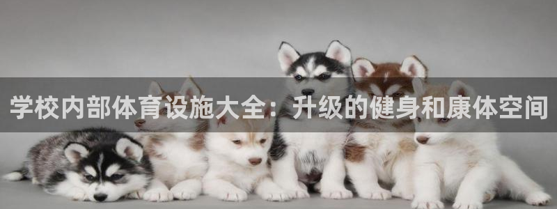 尊龙凯时始人生就是博