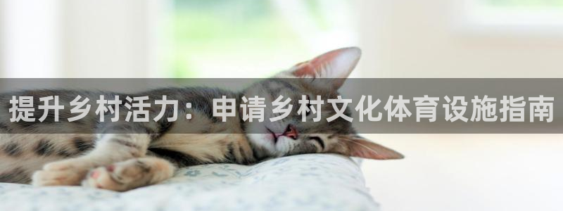 尊龙手机客户端下载