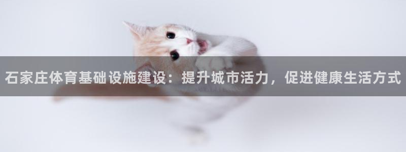 尊龙凯时邀请码