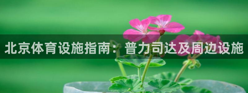 尊龙凯时推荐人