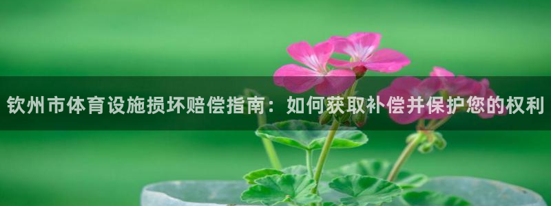 尊龙d88现金可来就送38