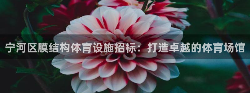 凯时国际app首页登录入口