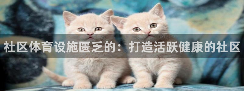 尊龙人生就是博旧版