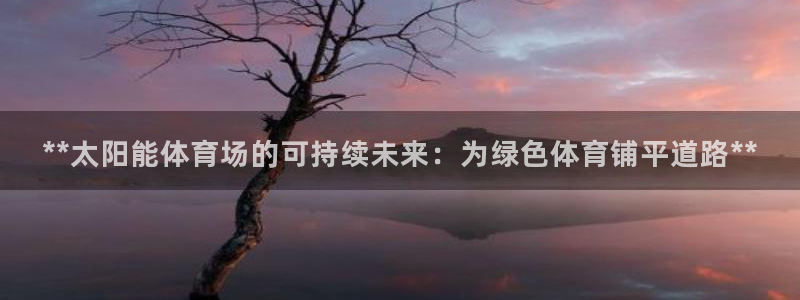 尊龙人生就是博电脑版