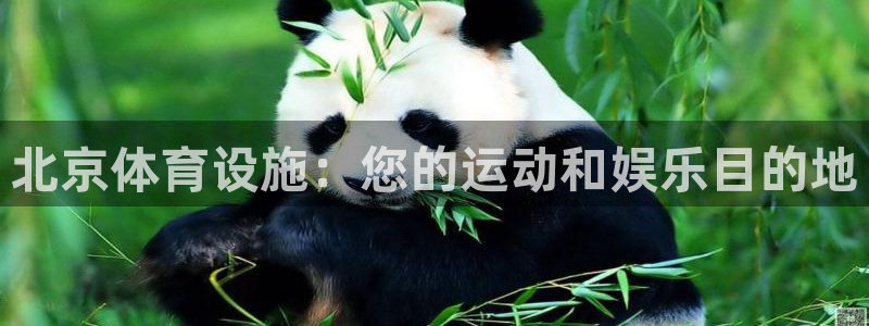 尊龙AG旗舰厅app下载