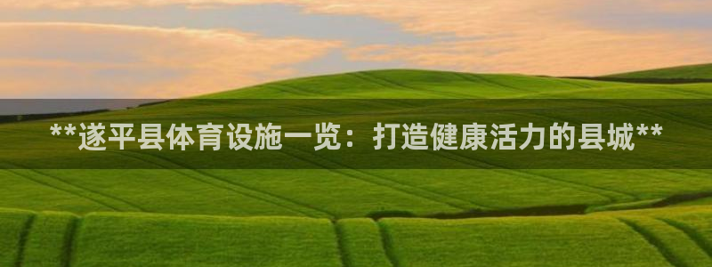 尊龙凯时干什么的