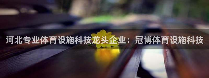 尊龙人生就是博官