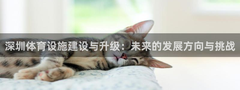 z6com尊龙凯时百家乐下载