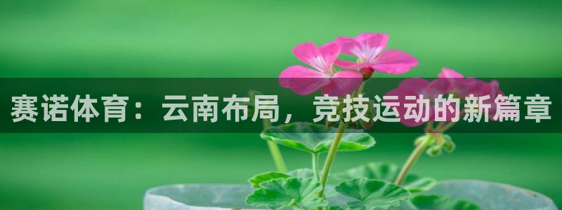 尊龙凯时网站登录