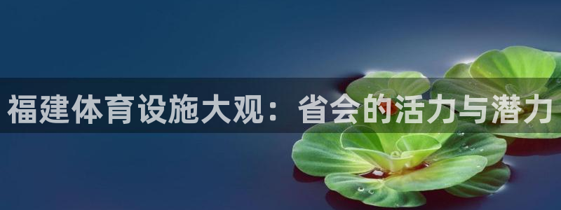尊龙,人生就是博!登录国际