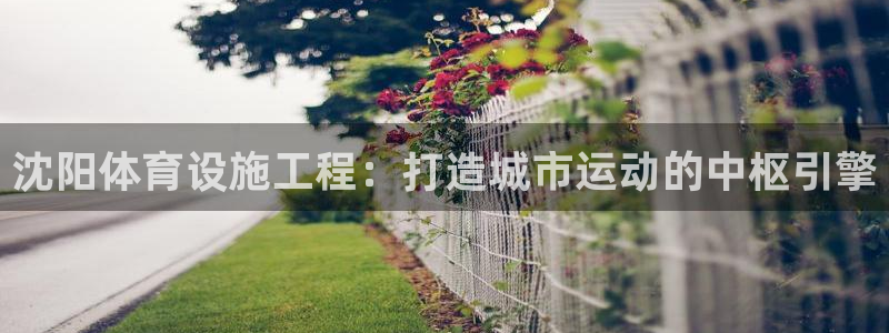 尊龙信息科技有限公司