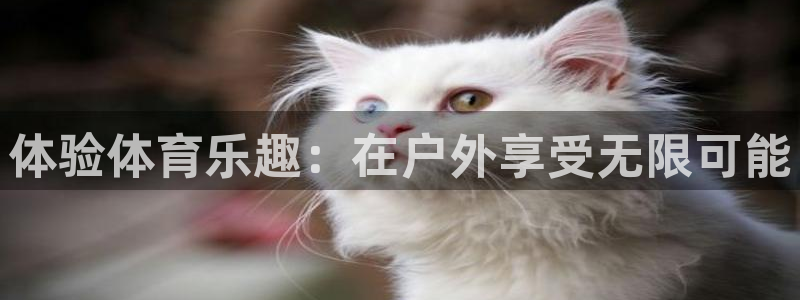 尊龙物流怎么样