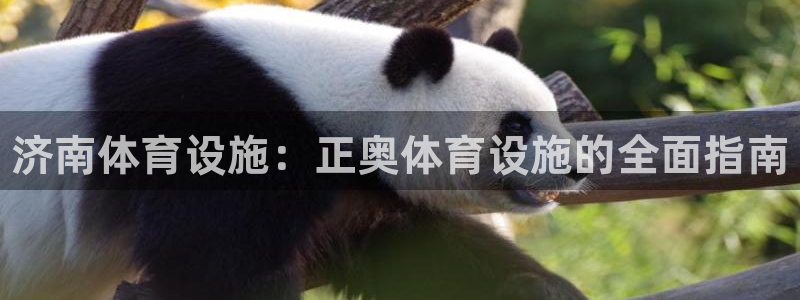 尊龙凯时平台怎么样