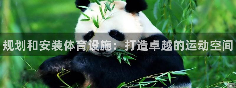 尊龙-人生就是博!