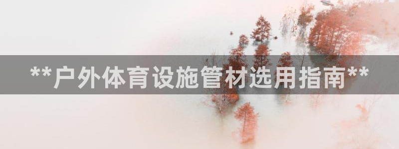 尊龙凯时网站怎么样