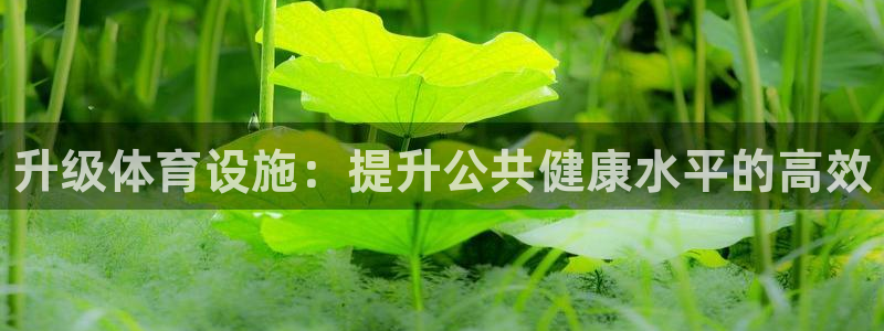 尊龙用现金一下可靠送38元