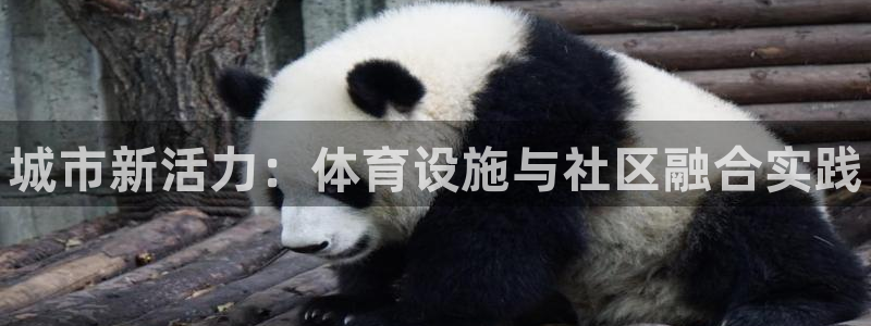 尊龙人生就是博菲律宾台子