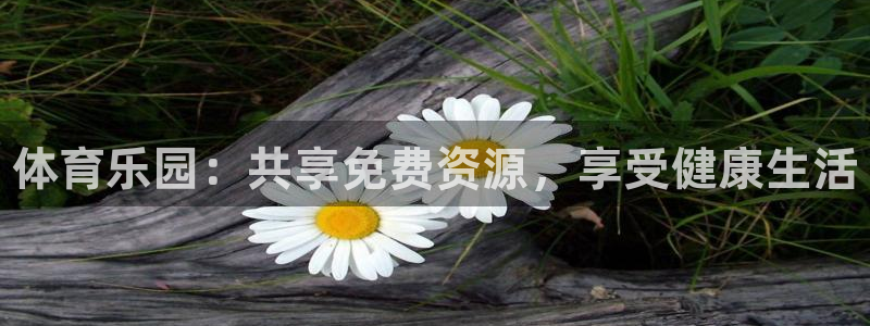 尊龙休闲e站怎么样