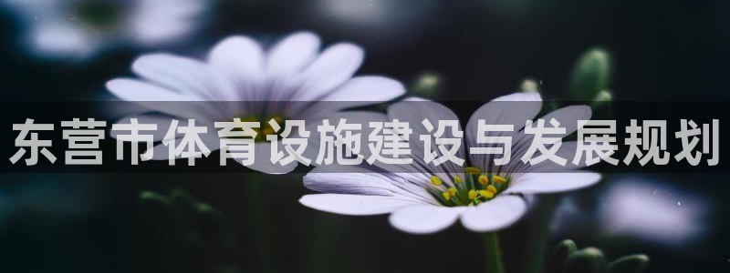 尊龙集团有限公司是国企吗