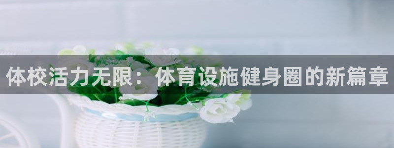 尊龙官网免费下载安装