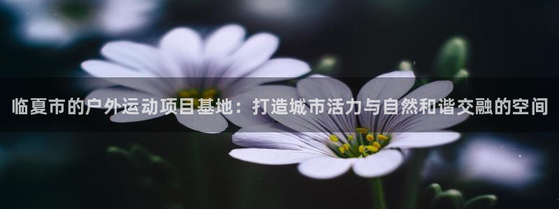 尊龙凯时不朽情缘