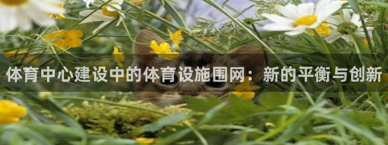 尊龙app认可ag发财网