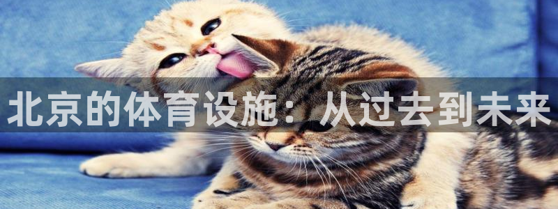 尊龙凯时的钱能退回来吗