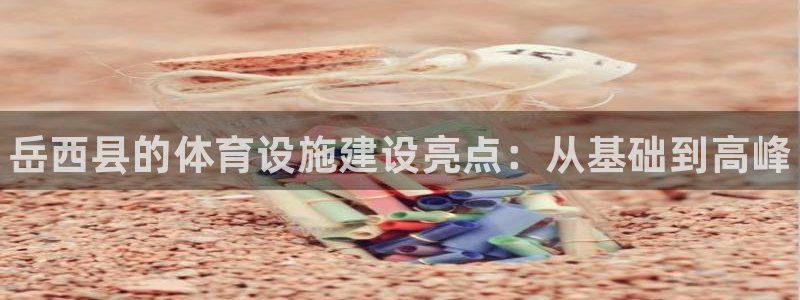 尊龙人生就是博管网