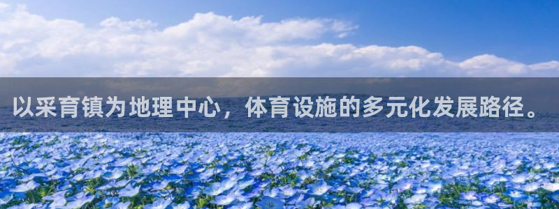 尊龙凯时处理未到账