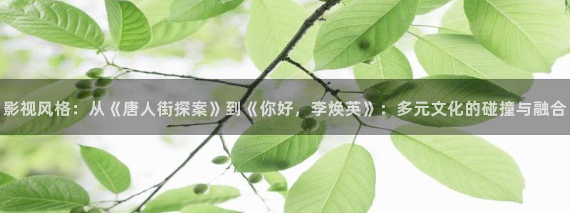 狼人游戏电影在线观看：影视风格：从《唐人街探案》到《你好，李焕英》：多元文化的碰撞与融合