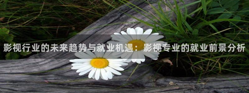 狼人之夜电影完整版在线观看：影视行业的未来趋势与就业机遇：影视专业的就业前景分析